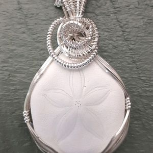 Wire Wrapped Real Sand Dollar